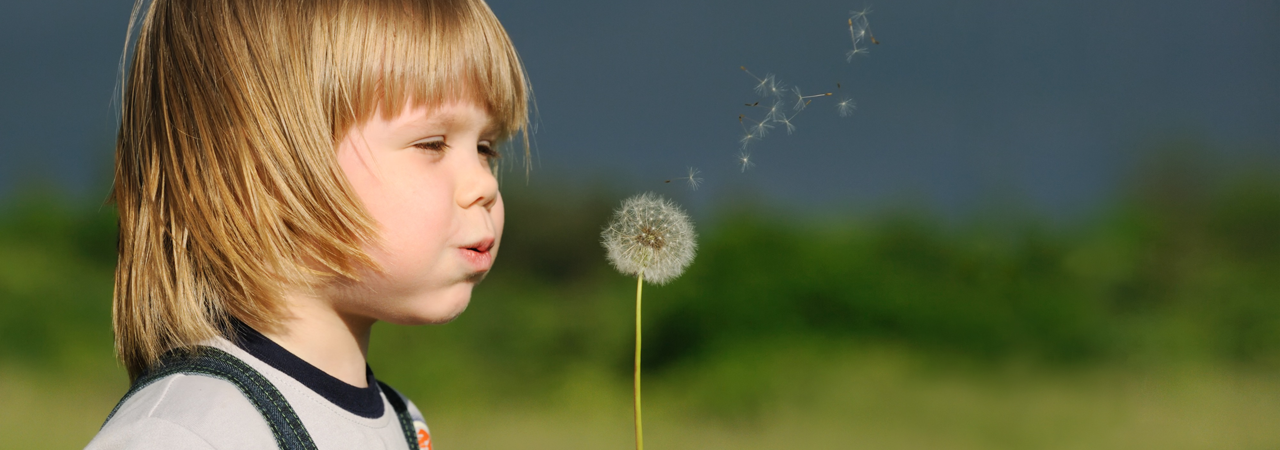 Barn som blåser på torr maskros.
